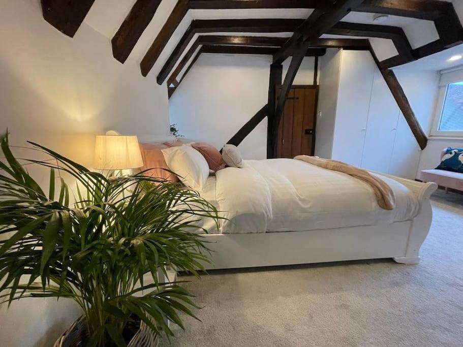 Rural Country Suites - Judge'S Lodge East Grinstead Exterior foto